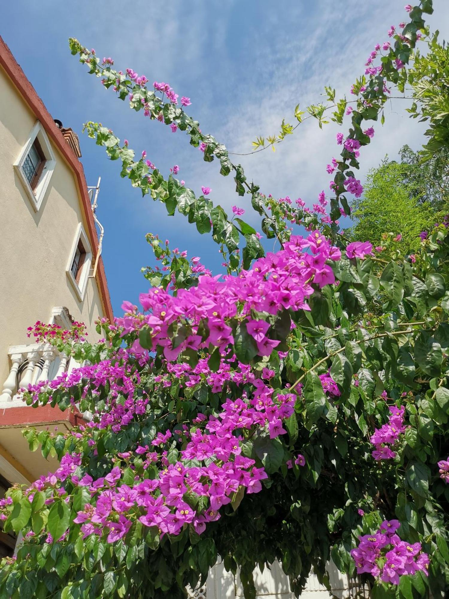 Ginko House Apartment Opatija Exterior photo